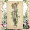 Antique Anatomy Tarot carta