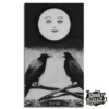 Murder of Crows Tarot Carta