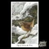 The Wildwood Tarot carta