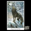The Wildwood Tarot carta